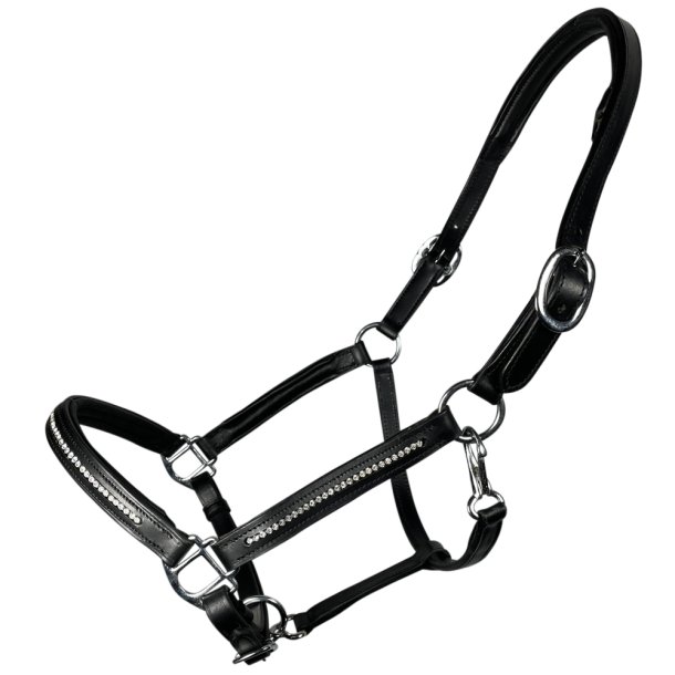 Ldergrime med en rkke sm hvide sten