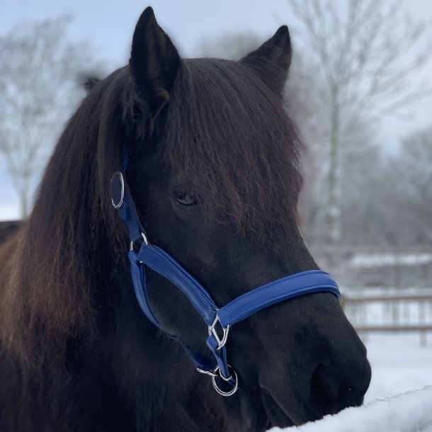 Grime i bld farvet lder - Bl