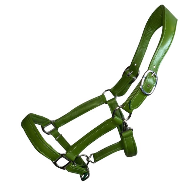 Grime i bld farvet lder - Grn