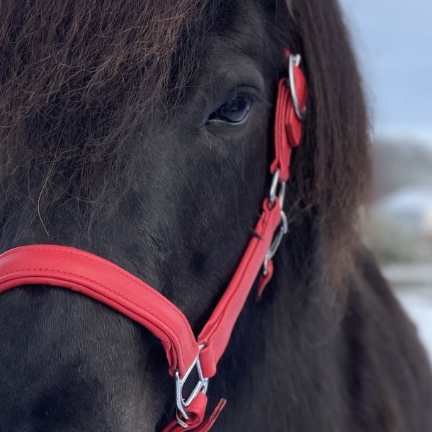 Grime i bld farvet lder - Rd