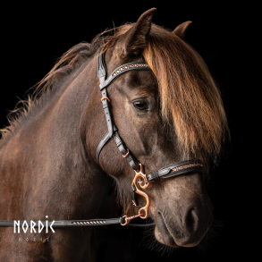 Sidestykker til hackamore med rosegold sp�nder