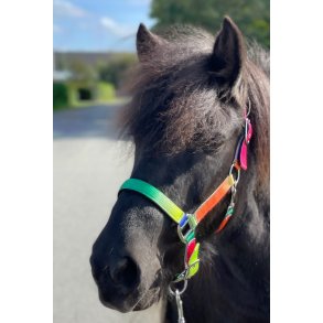 Rainbow nylon grime st 