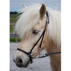 Arbejdstrense Hannoveransk med bdspnde