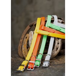 Engelsk biothan nserem