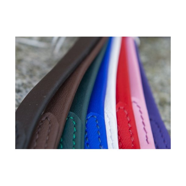 Engelsk biothan nserem