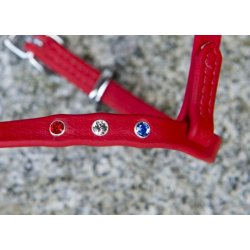 Engelsk biothan nserem med sten