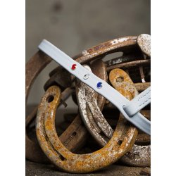 Engelsk biothan nserem med sten