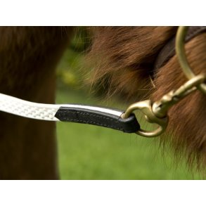 Biothantjle med dubber 