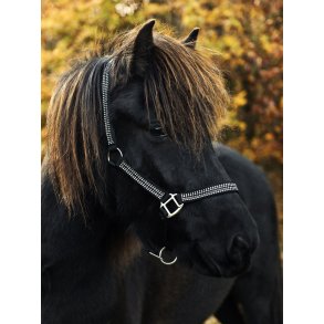 Grime med 4 rkker sten