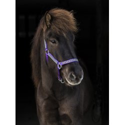 Grime med 4 rkker sten