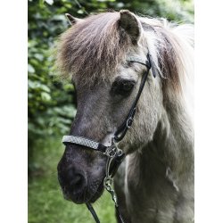 Hackamore, med 6 rk. overside sten