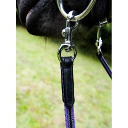 Heavygriptjler med slv karabiner