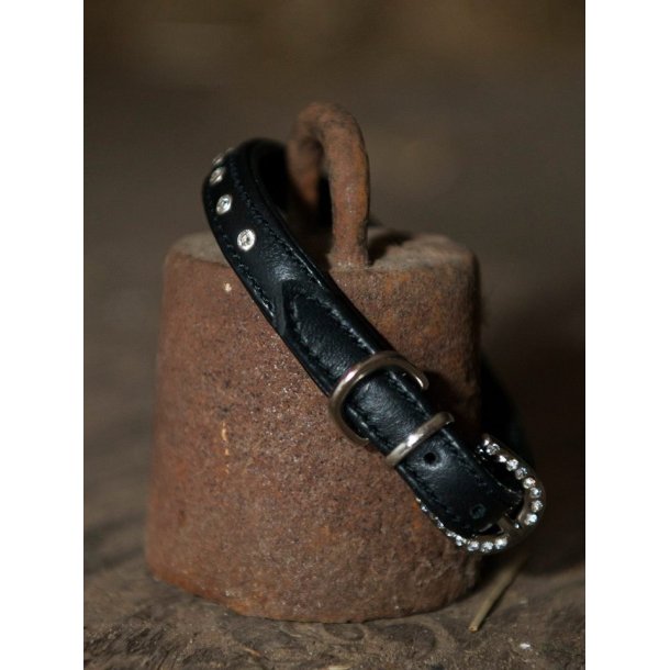 Hundehalsbnd med sten og sten p spnde