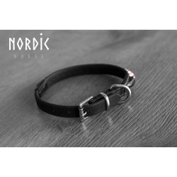 Hundehalsbnd med rainbowsten