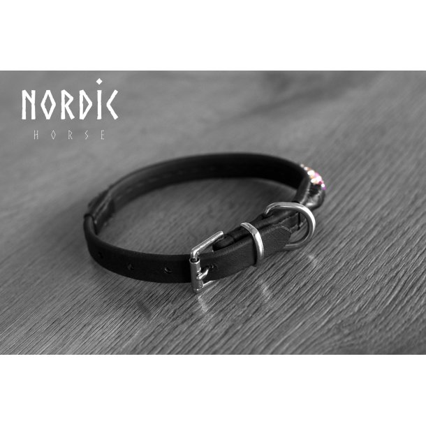 Hundehalsbnd med rainbowsten