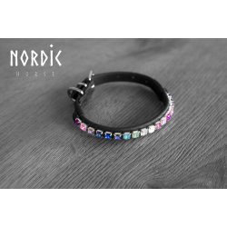 Hundehalsbnd med rainbowsten