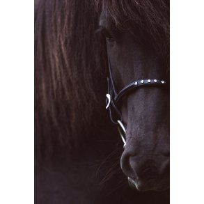 Engelsk nserem med 5 hvide sten