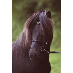 Engelsk nserem med 5 hvide sten