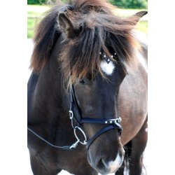 Kombineret nserem med 5 sten