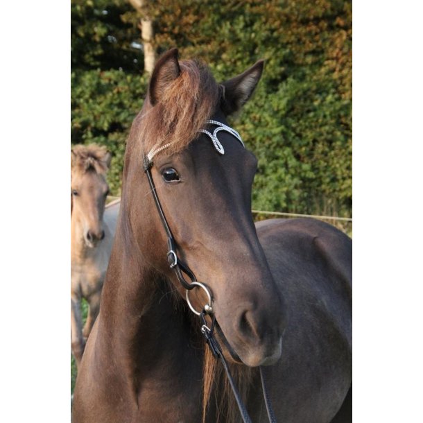 Nakkestykke 2 med sten