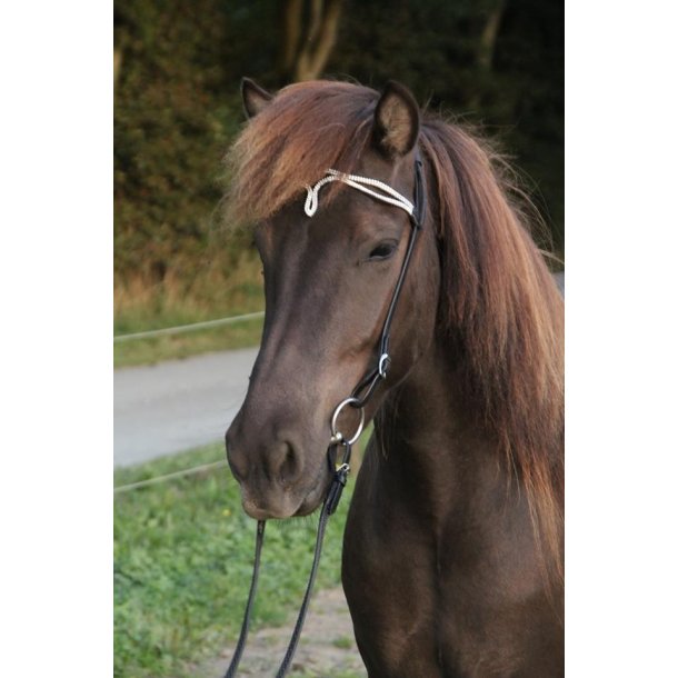 Nakkestykke 2 med sten