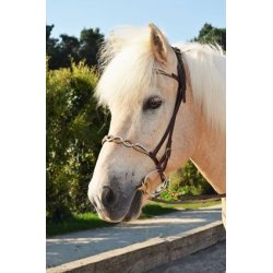 Engelsk nserem 3 med overside sten