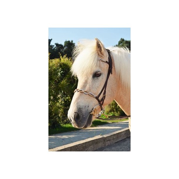 Engelsk nserem 3 med overside sten