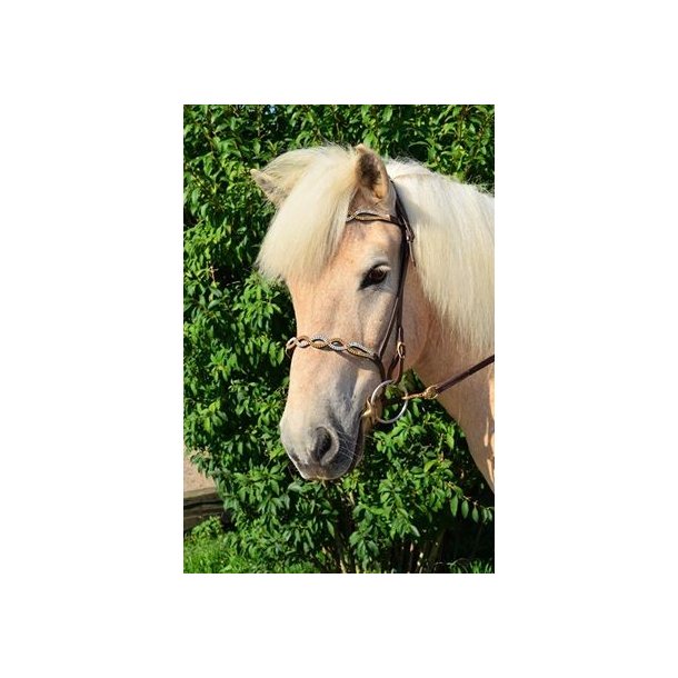 Engelsk nserem 3 med overside sten