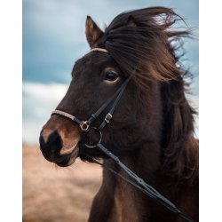 Trense med flettet metal