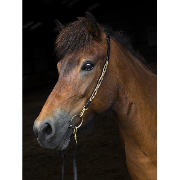 Nakkerem med udskringer og gyldne sten