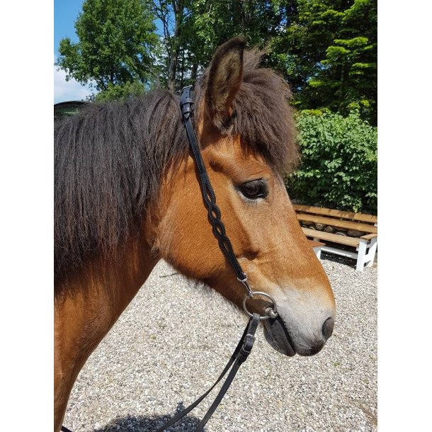 Nakkestykke med udskringer p siderne