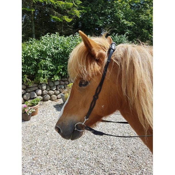 Nakkestykke med udskringer p siderne