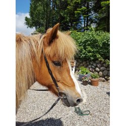 Nakkestykke med udskringer p siderne