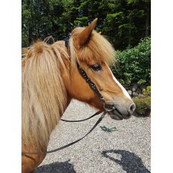 Nakkestykke med udskringer og sten p siderne