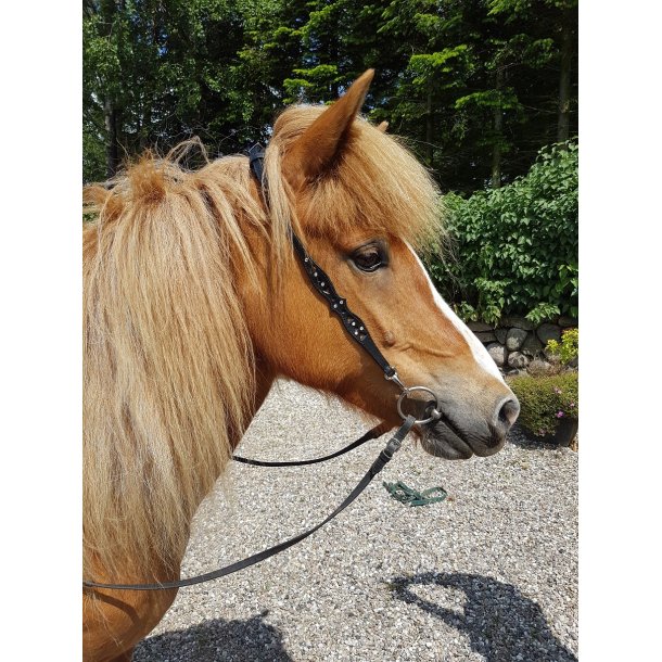 Nakkestykke med udskringer og sten p siderne