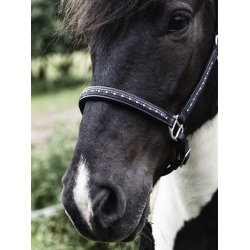 Ldergrime med sten i Islandske farver