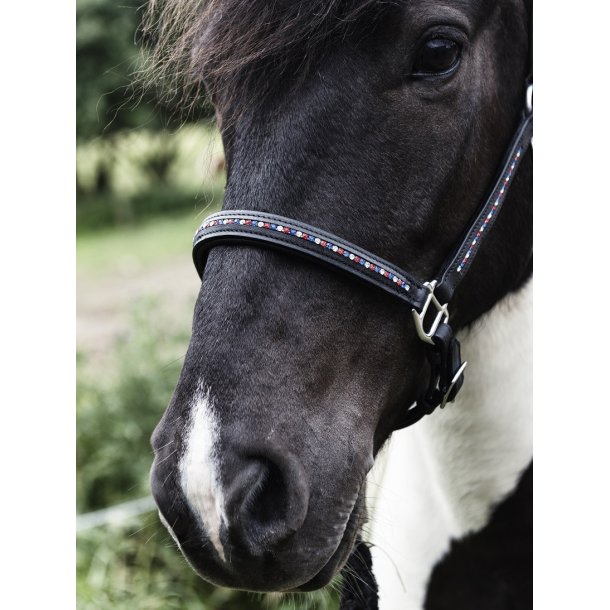 Ldergrime med sten i Islandske farver