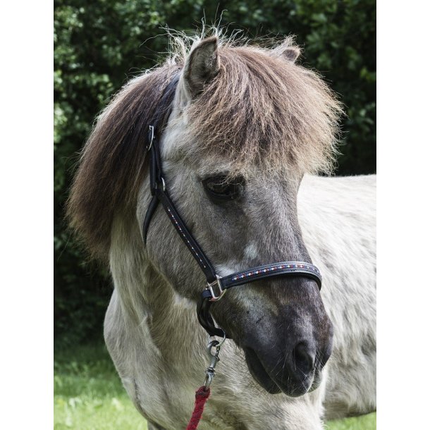 Ldergrime med sten i Islandske farver