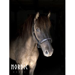 Ldergrime med sten i Islandske farver