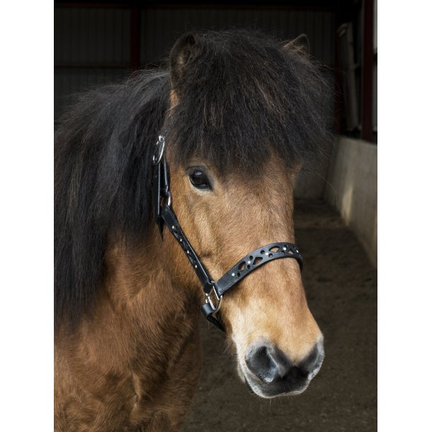 L�dergrime med banket m�nster