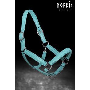 Grime i bld farvet lder - Turkis