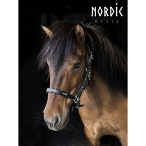 Ldergrime med sten i st