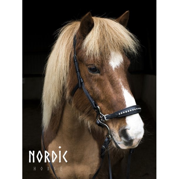 Mix &amp; Match Hackamore sidestykke