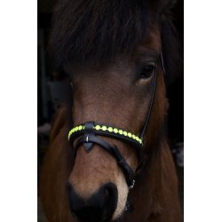 Komb. nserem med en rkke store sten