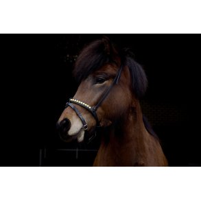 Komb. nserem med en rkke store sten