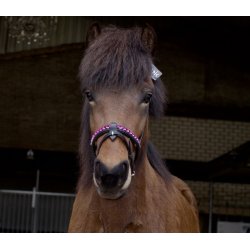 Komb. nserem med en rkke store sten