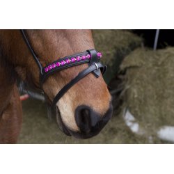 Komb. nserem med en rkke store sten