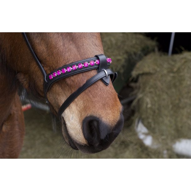 Komb. nserem med en rkke store sten