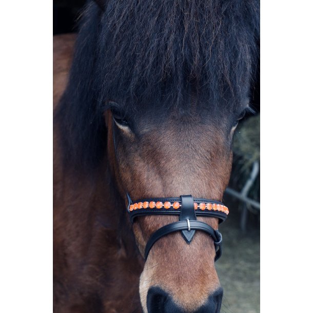 Komb. nserem med en rkke store sten