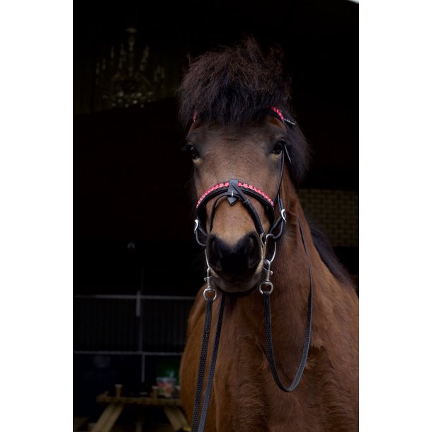 Komb. nserem med en rkke store sten